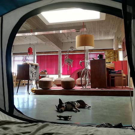 Ghostel 1St - Aventure Alternative - Guest House - Arts-Factory-Experience - For Artists, Makers And Open Minds - Attention, We Are Not A Hotel And Are Not Adapted For Everybody - Read Host Warnings Before Reservation - Www,Providence,Be Asbl ชาร์เลอรัว ภายนอก รูปภาพ